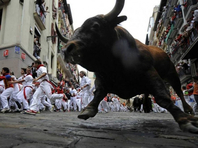 The world's famous bull run