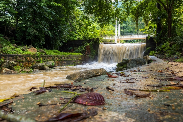 penang botanical gardens tropical malaysia asia travel holiday waterfall