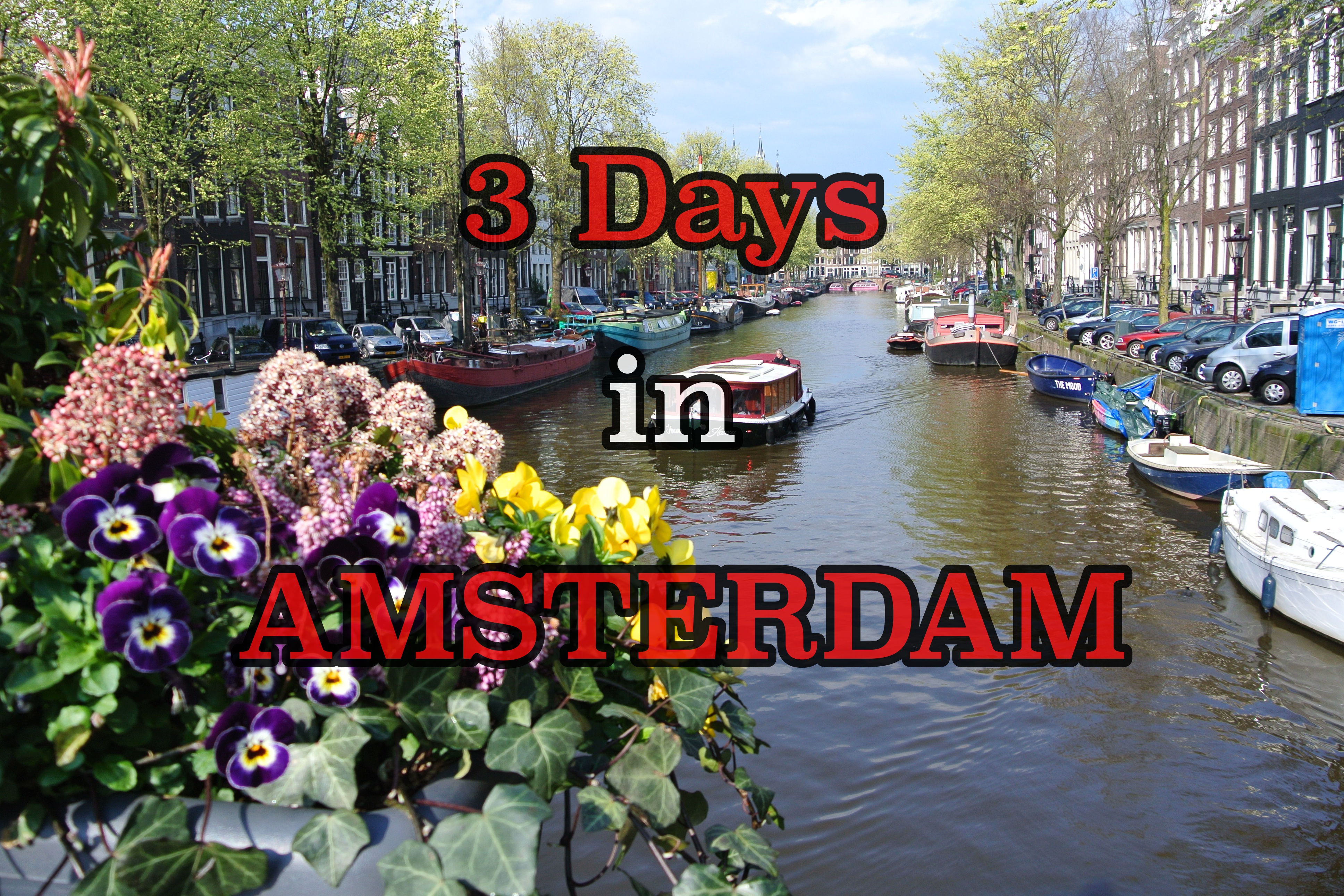 what to do in amsterdam cover