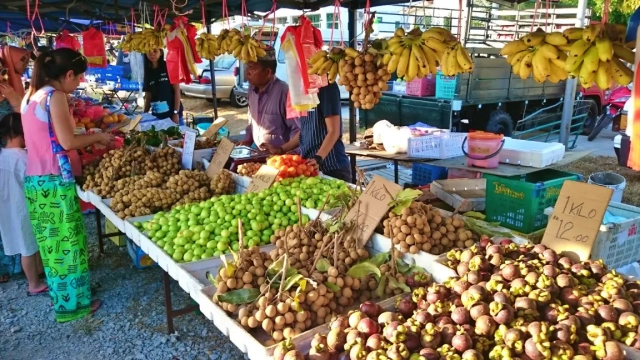 Tropical fruits in Langkawi Island