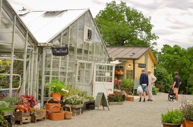 The greenhouses of Rosendals Glass greenhouses